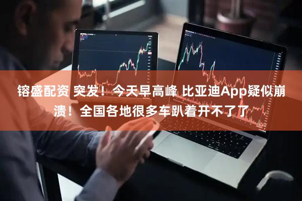 镕盛配资 突发！今天早高峰 比亚迪App疑似崩溃！全国各地很多车趴着开不了了