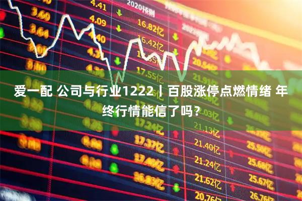 爱一配 公司与行业1222丨百股涨停点燃情绪 年终行情能信了吗？