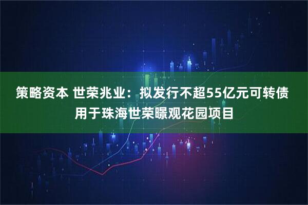 策略资本 世荣兆业:拟发行不超55亿元可转债 用于珠海世荣暻观花园项目